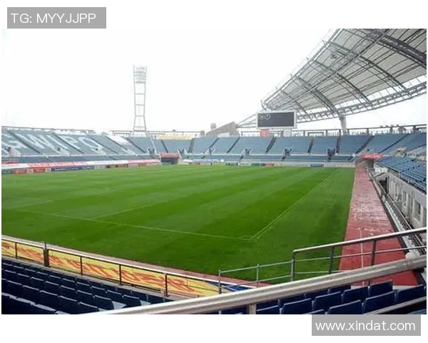 探秘世界杯标准足球场的设计理念与建设标准解析